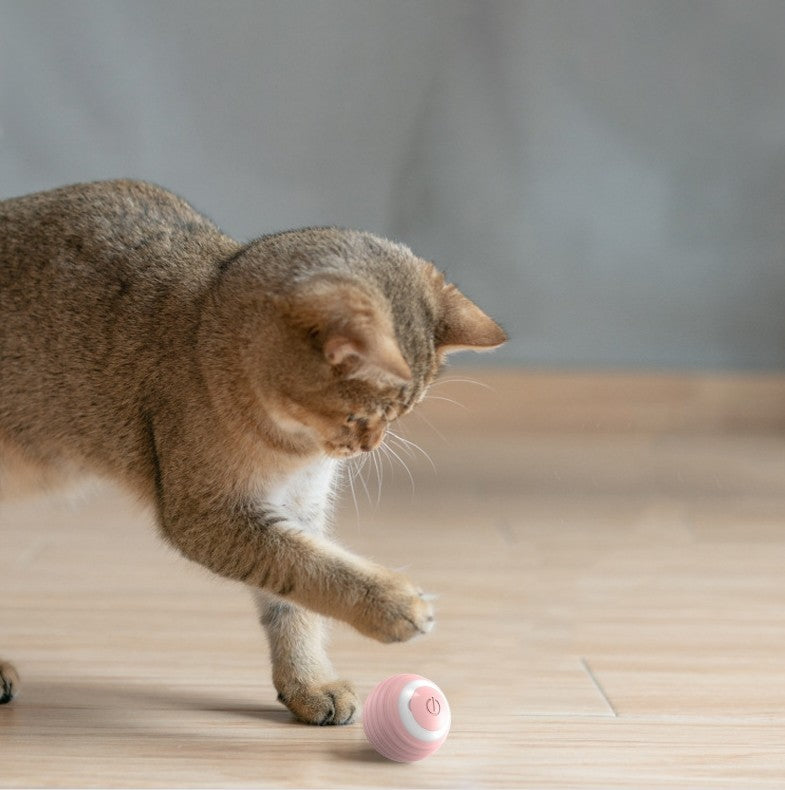Automatic Moving Bouncing Rolling Ball Smart Cat Toy Ball Self-Moving Kitten Toy For Indoor Cat Kitten | Everyday Home Deal