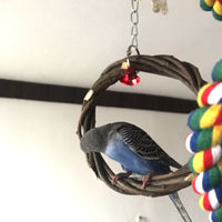 Bird Standing Frame - Premium Best Toy Deal | Everyday Home Deal