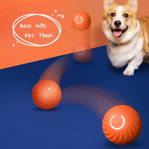 Dog Rubber Ball - Best Pet Toy Deal | Everyday Home Deal