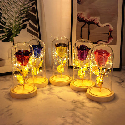 Valentines Day Gift  For Girlfriend Eternal Rose Flowers LED Light In Glass Cover Day Wedding Decoration Favors Mother Day Female Gift  Gift | Everyday Home Deal