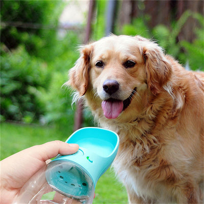 Pet Water Bottle - Best Pet Deal | Everyday Home Deal