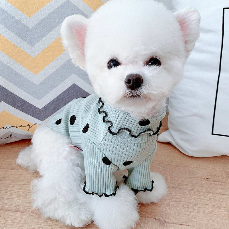 Dot turtleneck dog bottoming shirt | Everyday Home Deal