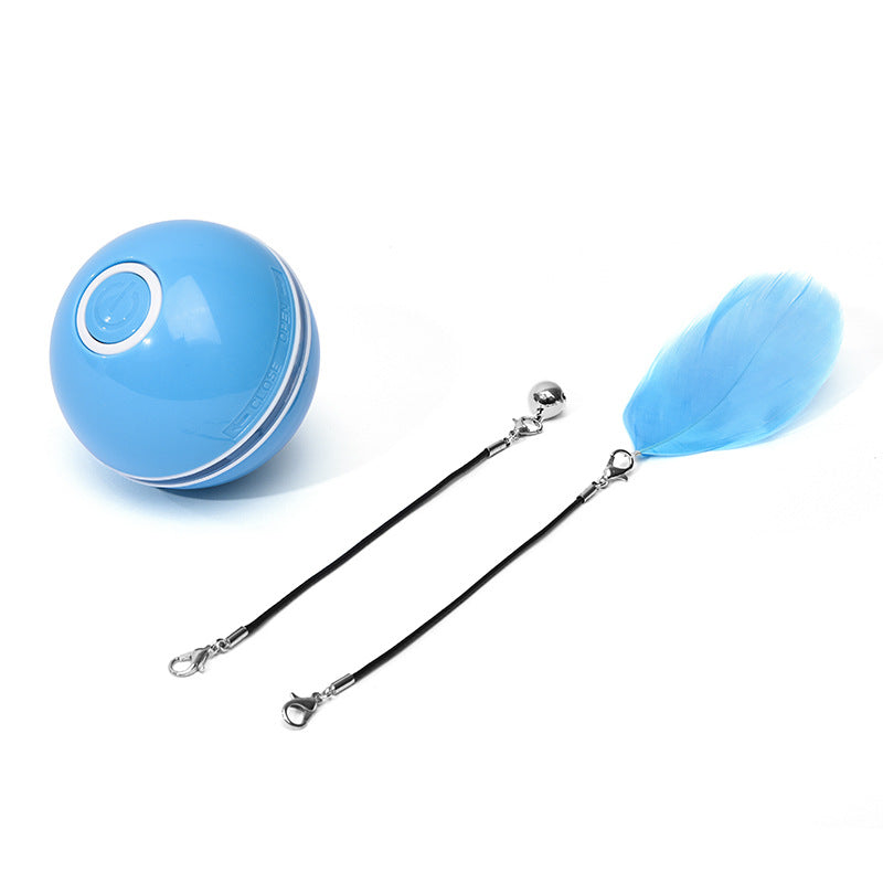 LED Cat Toy Ball - Best Pet Deal | Everyday Home Deal