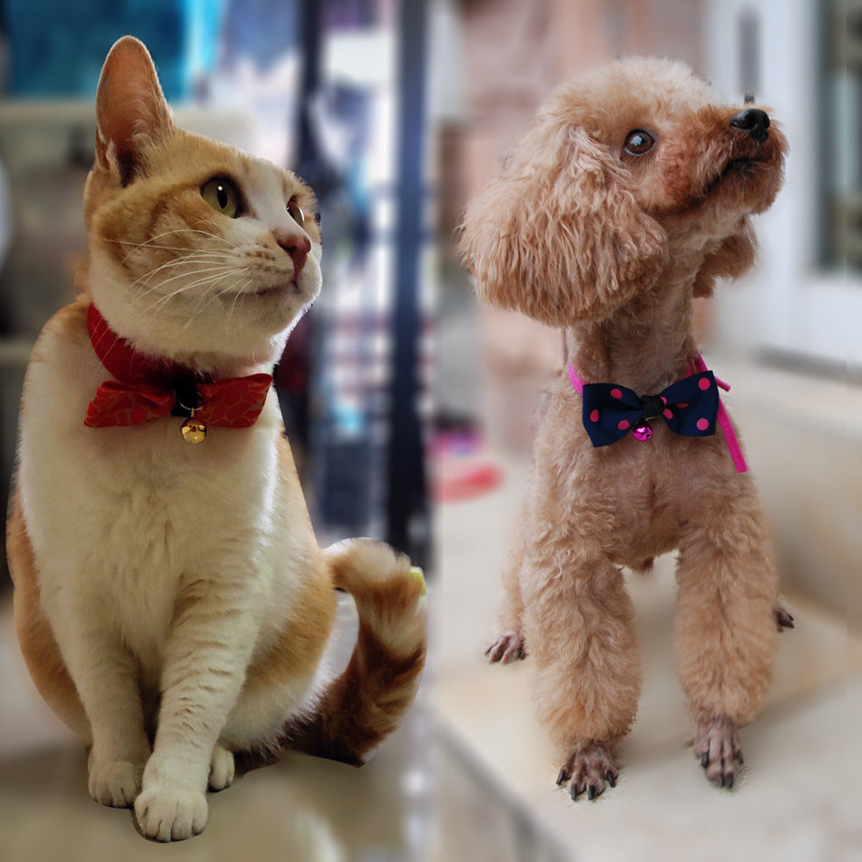 Pet Bow | Everyday Home Deal