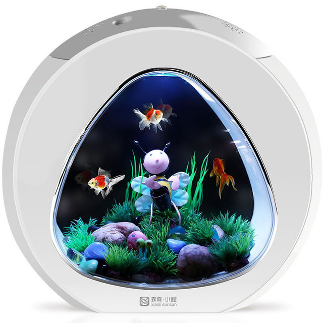 Desktop Fish Tank - Premium Best Aquarium Deal | Everyday Home Deal