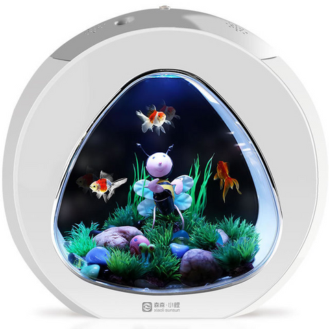 Desktop Fish Tank - Premium Best Aquarium Deal | Everyday Home Deal