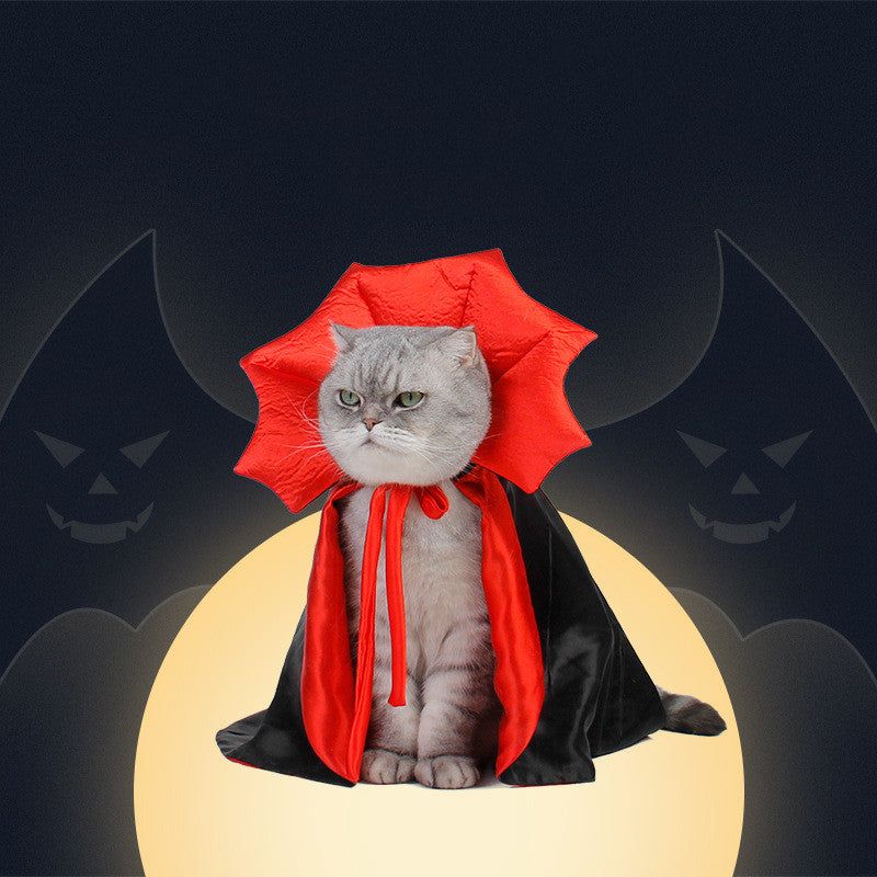 Halloween Pet Cape | Everyday Home Deal