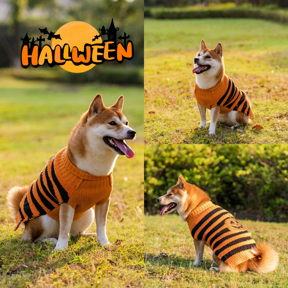 Halloween Dog Sweater | Everyday Home Deal
