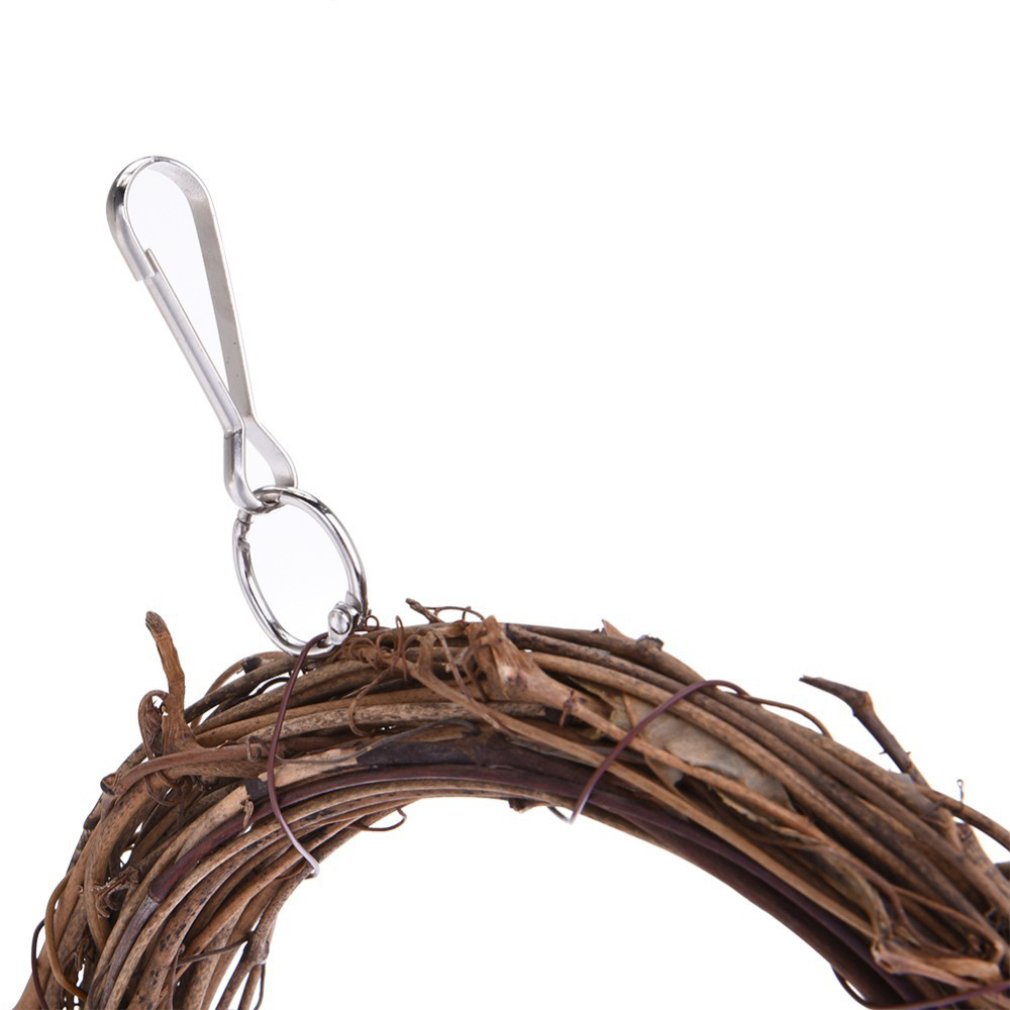 Parrot swing | Everyday Home Deal