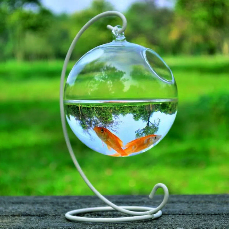 Hanging Glass Vase Fish Tank - Best Decor Deal | Everyday Home Deal