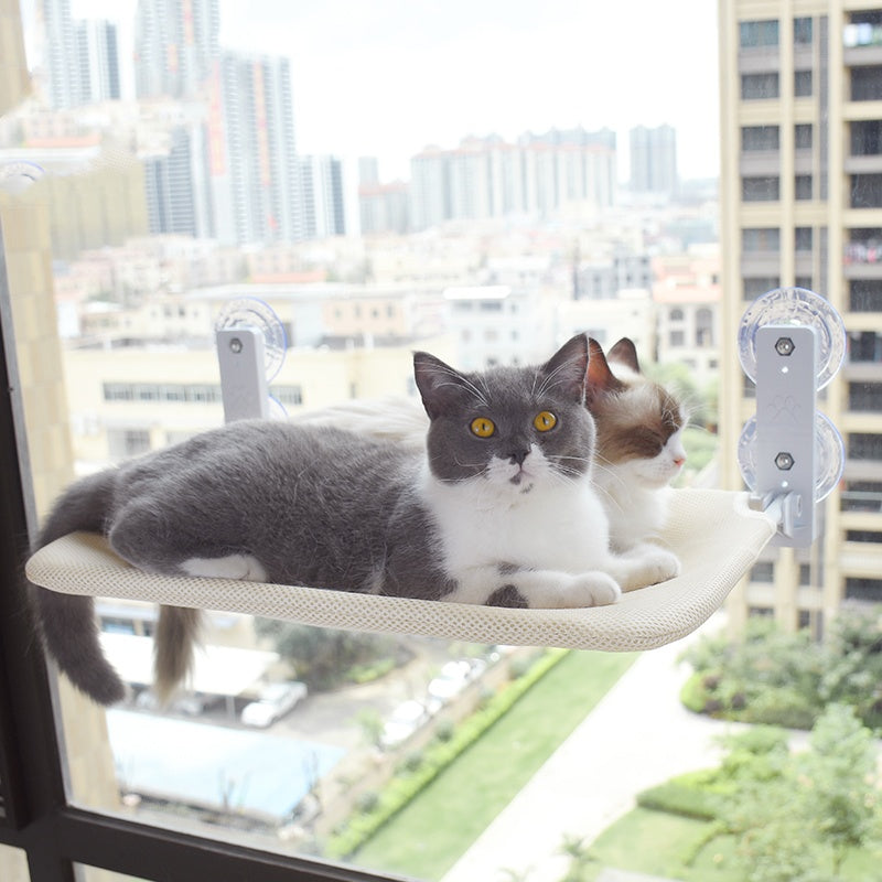 Cat Window Hammock | Everyday Home Deal