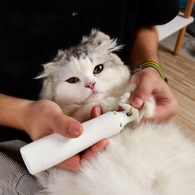 Nail Trimmer | Everyday Home Deal