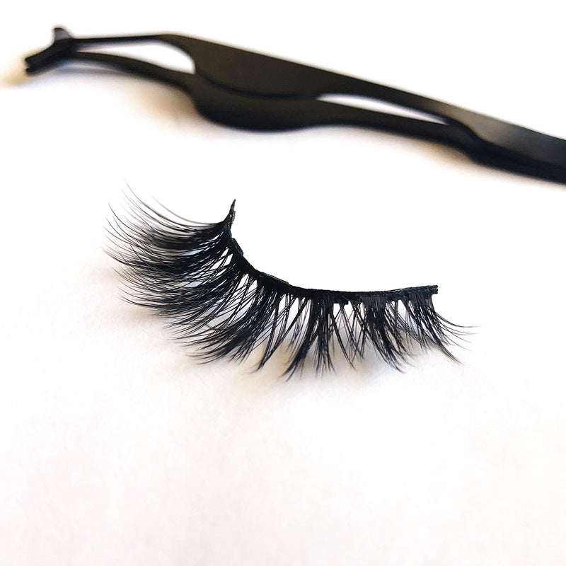 A Pair Of False Eyelashes With Magnets In Fashion | Everyday Home Deal