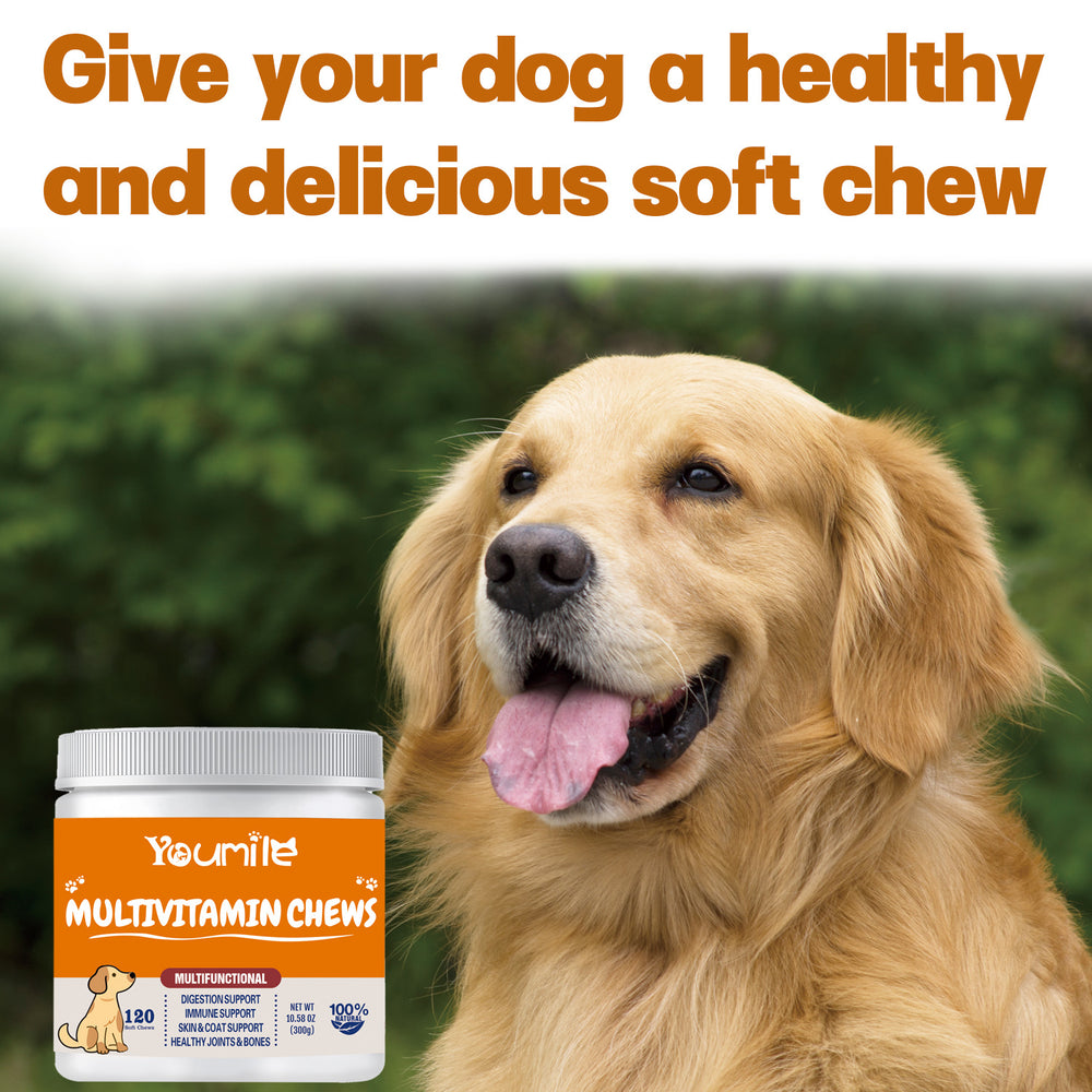 Pet Vitamin - Best Premium Health Deal | Everyday Home Deal
