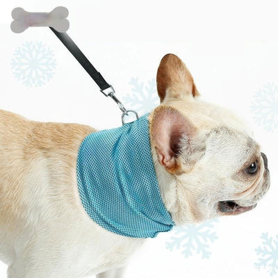 Cooling Pet Bandana - Best Premium Clothing Deal | Everyday Home Deal
