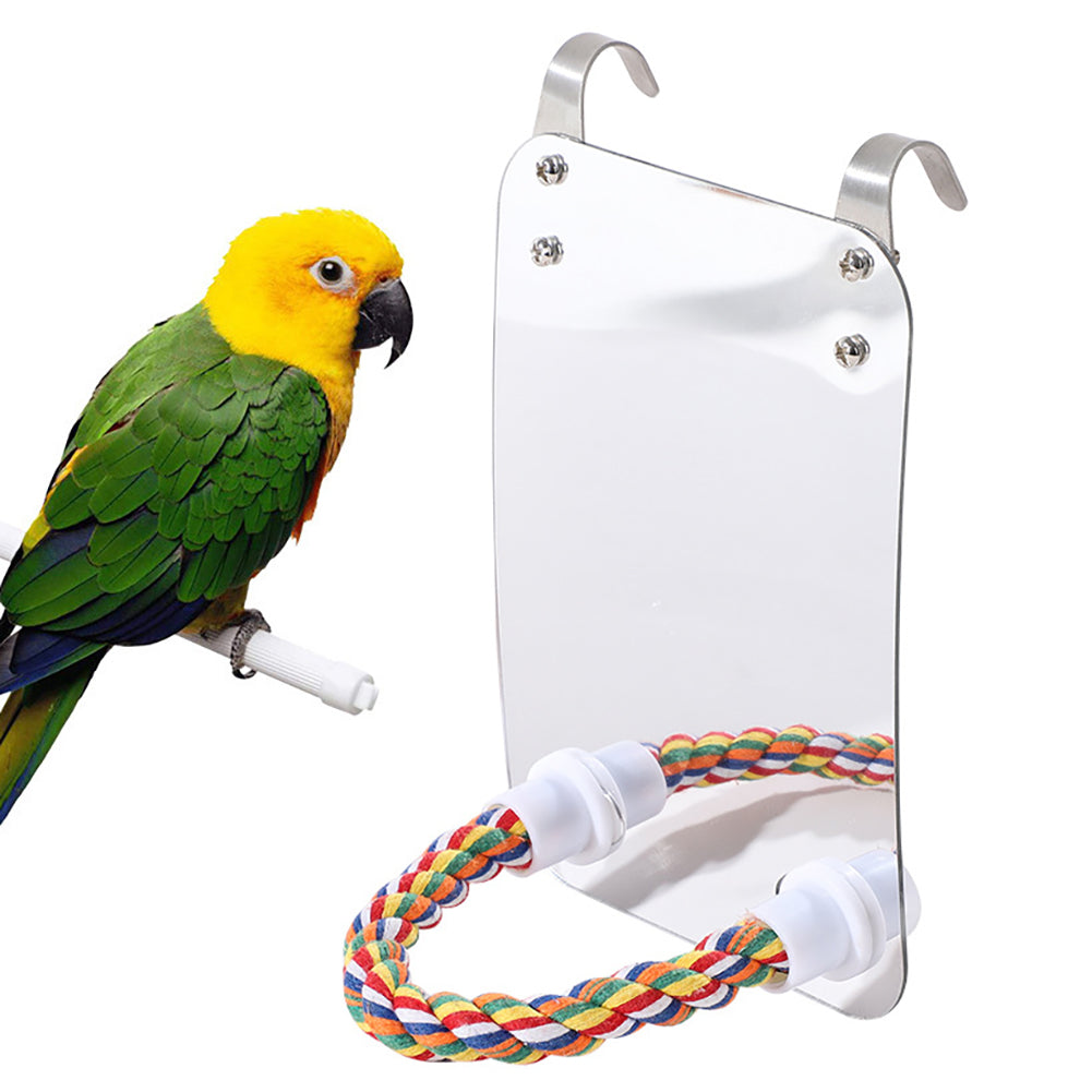 Parrot Toy Acrylic Bird With Mirror | Everyday Home Deal