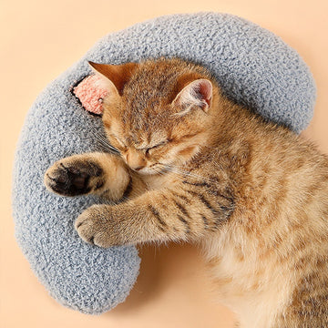 Dog Cat Sleeping Moon Pillow Small Dog Plush Pillow | Everyday Home Deal