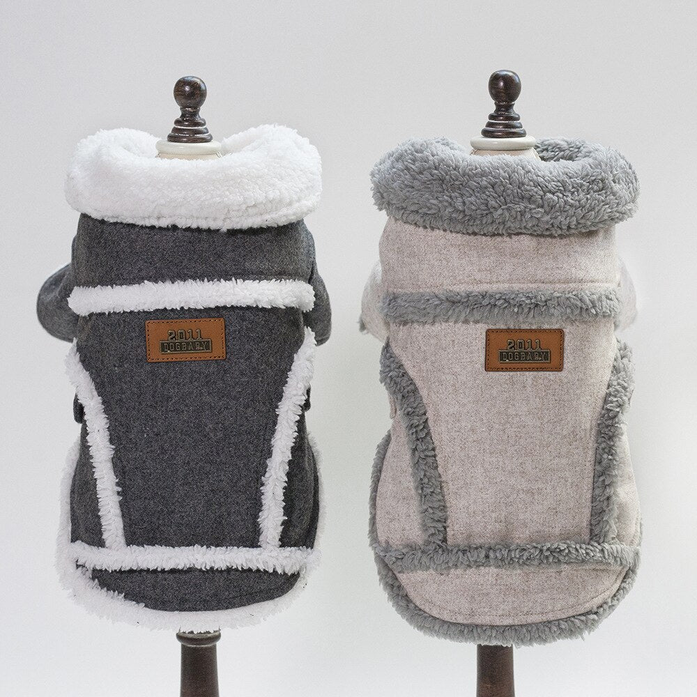 Dog Winter Jacket | Everyday Home Deal