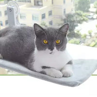 Cat Suction Cup Window Glass Hammock Pet Cat Pets Products