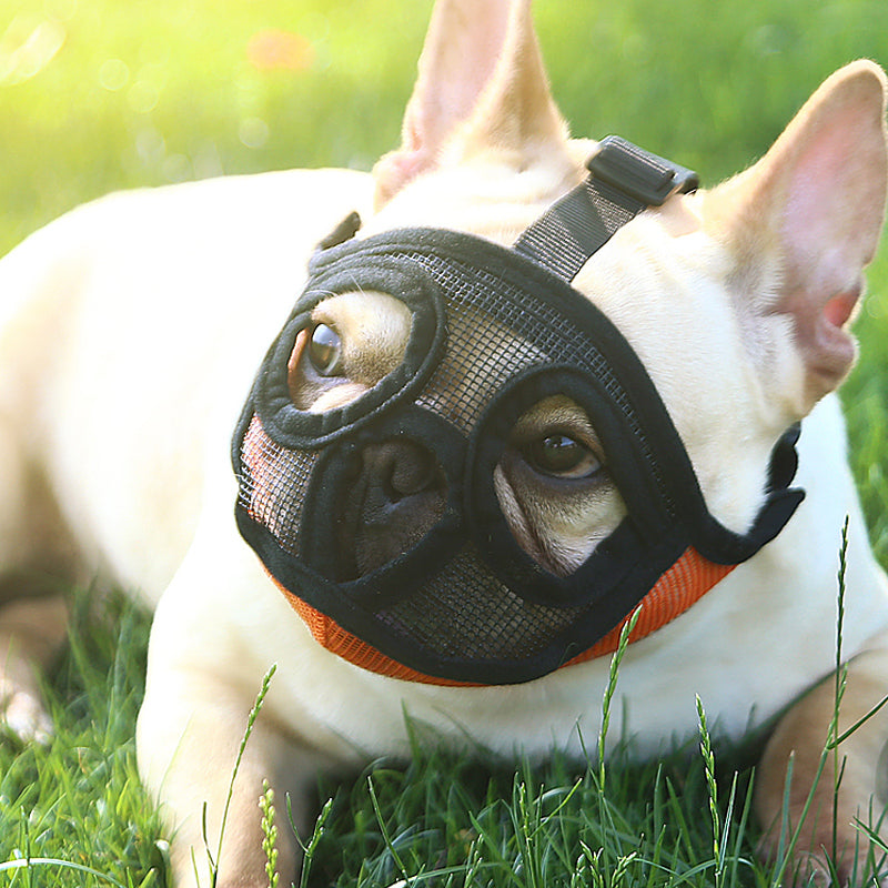 Dog Muzzle | Everyday Home Deal