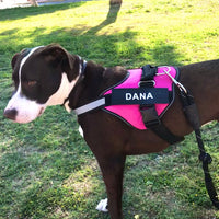 Dog Accessory – Harness Vest Patch
