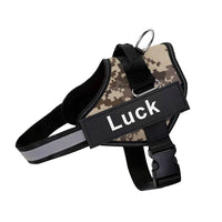Dog Accessory – Harness Vest Patch