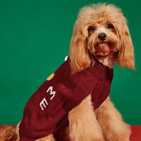 Christmas Pet Sweater – Santa Claus Sound