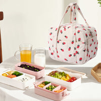 Worker Outdoor Insulated Lunch Box – Handbag Portable