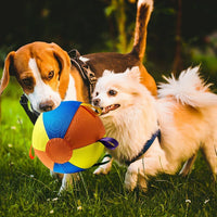 Sheep Horse Dog Accessory – Herding Ball Durable