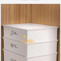 Household Intimates Socks – Storage Box Plastic