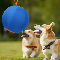 Sheep Horse Dog Accessory – Herding Ball Durable