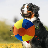 Sheep Horse Dog Accessory – Herding Ball Durable