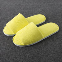 Of Disposable Solid Color Coral Plush Slippers