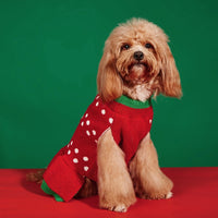 Christmas Pet Sweater – Santa Claus Sound