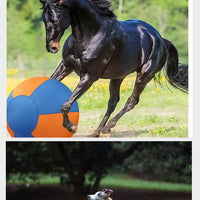 Sheep Horse Dog Accessory – Herding Ball Durable