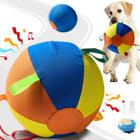 Sheep Horse Dog Accessory – Herding Ball Durable