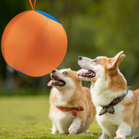 Sheep Horse Dog Accessory – Herding Ball Durable