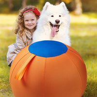 Sheep Horse Dog Accessory – Herding Ball Durable