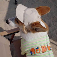 Folding Dog Accessory – Backpack Breathable Pet