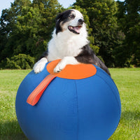 Sheep Horse Dog Accessory – Herding Ball Durable