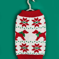 Christmas Pet Sweater – Santa Claus Sound