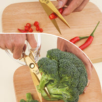 Chengguang Household Scissors – Kitchen Ins Style