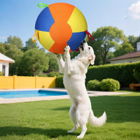 Sheep Horse Dog Accessory – Herding Ball Durable