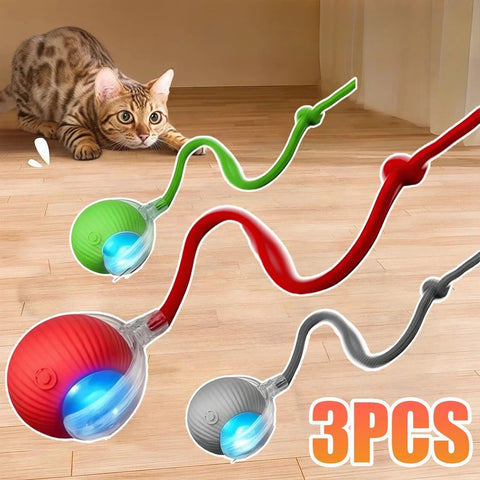 Cat Accessory – Interactive Ball Toy
