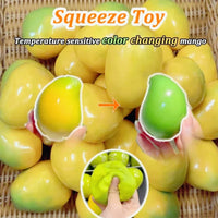 Crunchy Squeeze Fidget Toy – Round Blocks Asmr