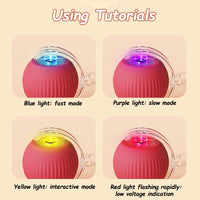 Cat Accessory – Interactive Ball Toy
