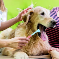 3-sided Pet Toothbrush – Dog Plastic