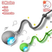 Cat Accessory – Interactive Ball Toy