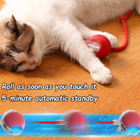 Cat Accessory – Interactive Ball Toy