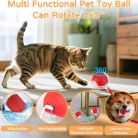 Cat Accessory – Interactive Ball Toy